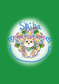 柴犬とお花イラストきせかえ♪