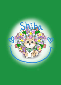 Shiba Inu and Flower Illustration Theme