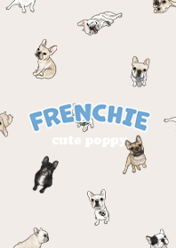 frenchie7 / light cream .jp