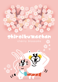 cherry blossoms_White bear Sticker 001