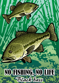 BLACK BASS (3)