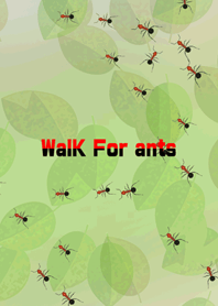 蟻のお散歩