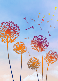 บิน (ปุยดอกแดนดิไลปุย) 01