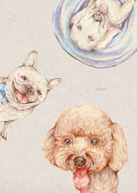 Collection of cute dogs