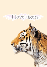 Dress up of a tiger