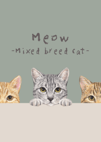 Meow - Mixed breed cat 03 - GREEN GRAY