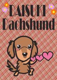 DAISUKI Dachshund