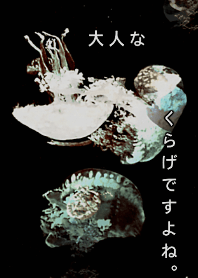 It is an adult jelly fish.