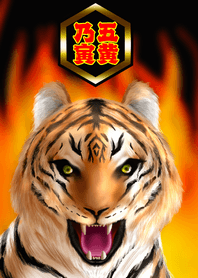 Year of Tige <The strongest luck> 1