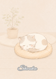 Cozy Lazy Cat: Shouka