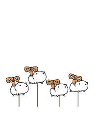 cat staring - 37 - clockwork