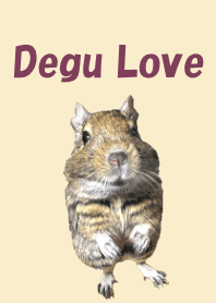 Degu Love