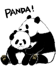 PANDA!PANDA!PANDA