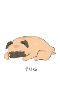 pug mops
