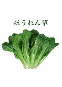 Domestic spinach