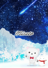 Misato Polar bear winter night sky