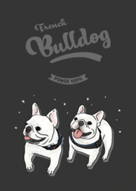 French Bulldog white / black
