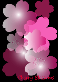 Cherry Blossoms in black