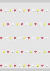 Rough colorful tulips on gray