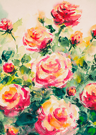 Beautiful rose flower(R4237)