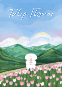 pink tulip field.