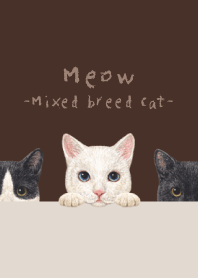 Meow-Mixed breed cat 02-DARK BROWN