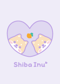 ชิบะอินุ มะนาว [สีม่วง]