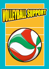 Volleyball support