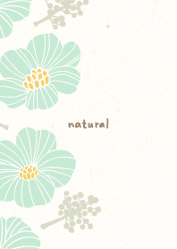 elegant flowers and fruits18 from Japan