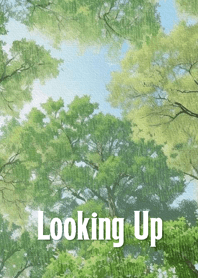 Looking Up