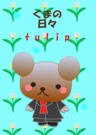 Bear daily(Tulip)