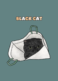 blackcat3 / dark cadet blue