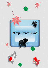 Aquarium goldfish 3