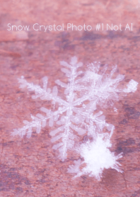 Snow Crystal Photo #1-13Not AI