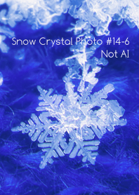 Snow Crystal Photo #14-6Not AI