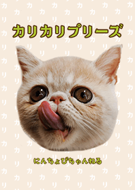 ExoticShorthairNinchovy