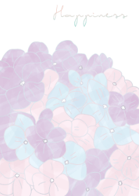 Hydrangea 2 -  nonohana