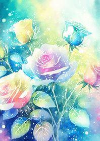 Beautiful rose flower(R2018)