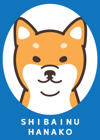 Shiba Inu Hanako 1