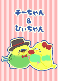 インコのチーちゃんとひぃちゃん