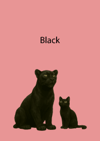 Black Pair03 on light pink