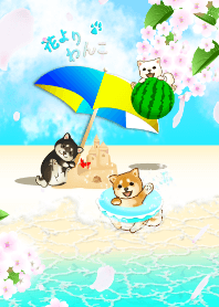 Dogs over Flowers5 (sakura, beach)