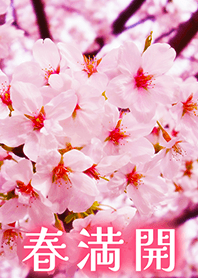 .-*cherryBlossom pink*-.