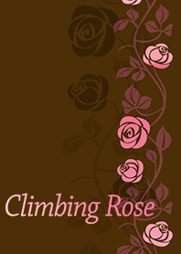 Climbing Rose*chocolat pink