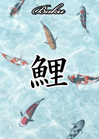 Baku Japanese style carp