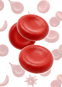 Red Blood Cells (Realistic) White