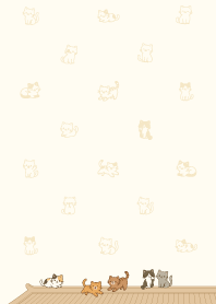 แมวเล่นอยู่บนหลังคา3