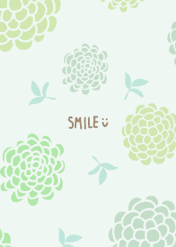 3colored pretty round flowers18
