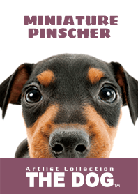 THE DOG Miniature Pinscher 2