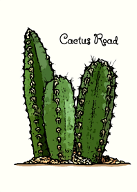 Cactus Road